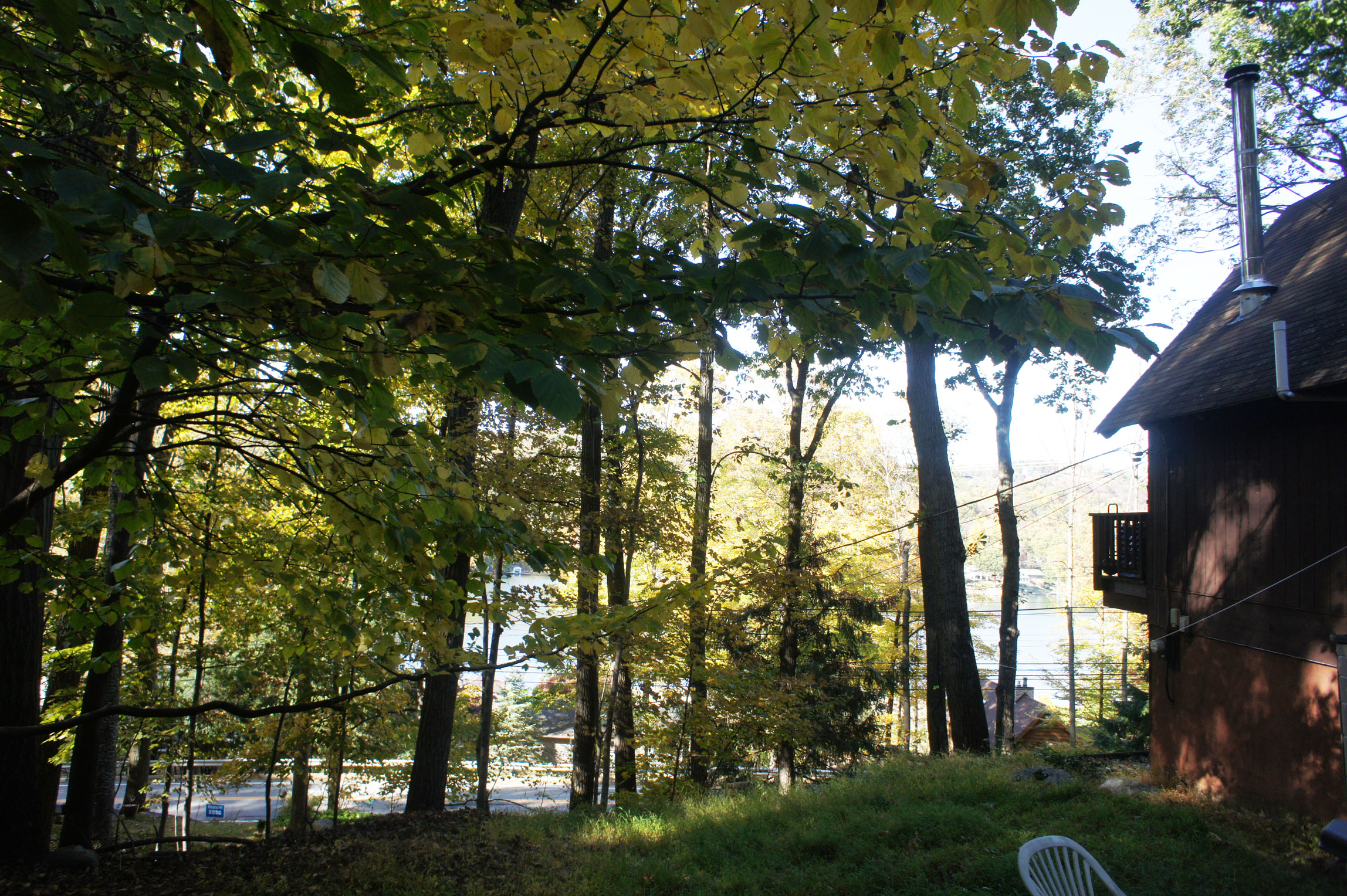 rear yard